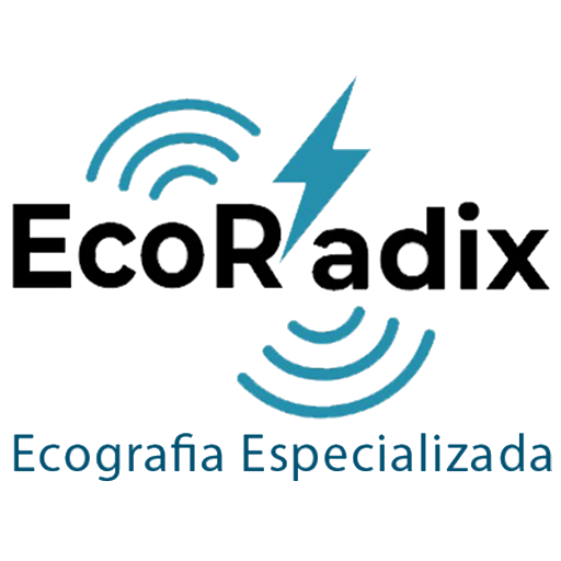 <b> ECORADIX S.A.S. </b>
